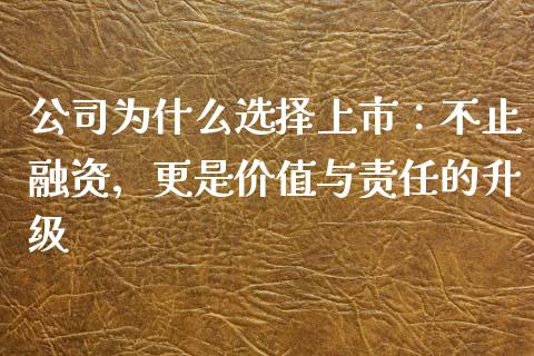 公司为什么选择上市：不止融资，更是价值与责任的升级_https://cj006.lansai.wang_期货开户_第1张