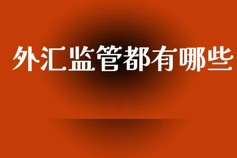 外汇监管都有哪些_https://cj006.lansai.wang_金融监管_第1张