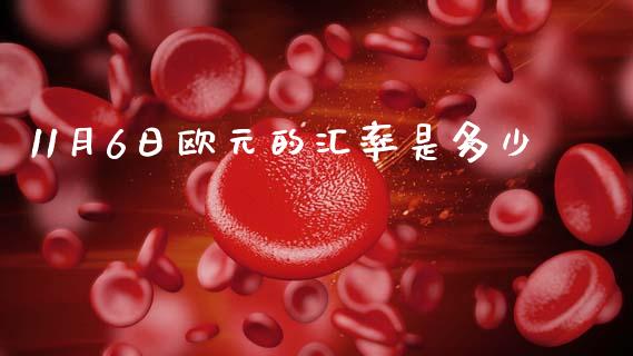 11月6日欧元的汇率是多少_https://cj006.lansai.wang_财经新闻_第1张