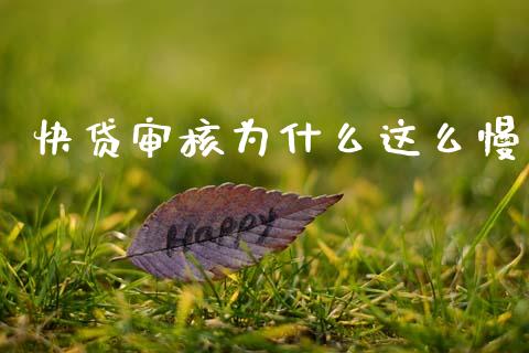 快贷审核为什么这么慢_https://cj006.lansai.wang_债券资讯_第1张