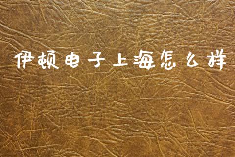 伊顿电子上海怎么样_https://cj006.lansai.wang_债券资讯_第1张