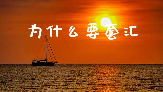 为什么要套汇_https://cj006.lansai.wang_外汇交易_第1张