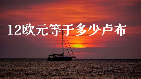 12欧元等于多少卢布_https://cj006.lansai.wang_金融监管_第1张