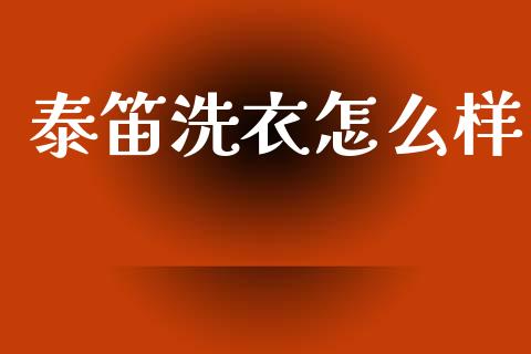 泰笛洗衣怎么样_https://cj006.lansai.wang_外汇交易_第1张