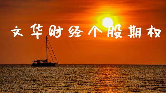 文华财经个股期权_https://cj006.lansai.wang_期货开户_第1张