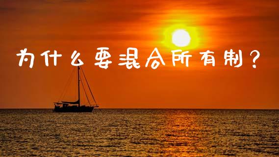 为什么要混合所有制？_https://cj006.lansai.wang_债券资讯_第1张