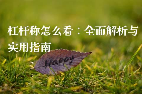 杠杆称怎么看：全面解析与实用指南_https://cj006.lansai.wang_债券资讯_第1张