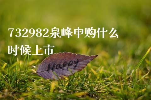 732982泉峰申购什么时候上市_https://cj006.lansai.wang_财经新闻_第1张
