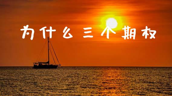 为什么三个期权_https://cj006.lansai.wang_全球市场_第1张
