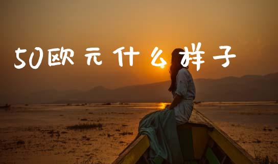 50欧元什么样子_https://cj006.lansai.wang_财经新闻_第1张