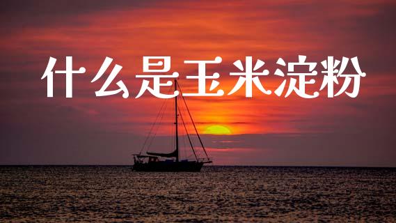 什么是玉米淀粉_https://cj006.lansai.wang_金融监管_第1张