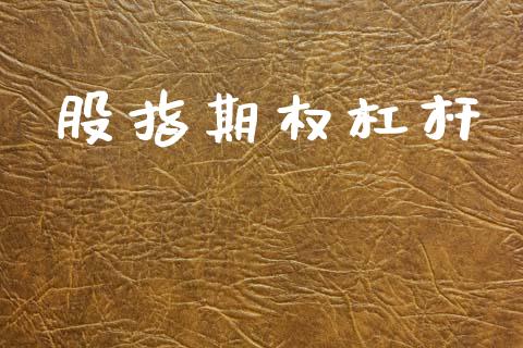股指期权杠杆_https://cj006.lansai.wang_全球市场_第1张