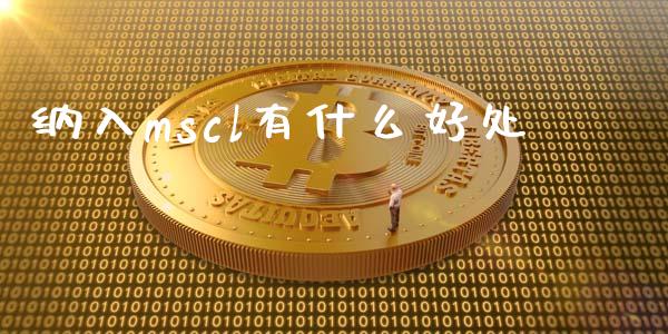 纳入mscl有什么好处_https://cj006.lansai.wang_金融监管_第1张
