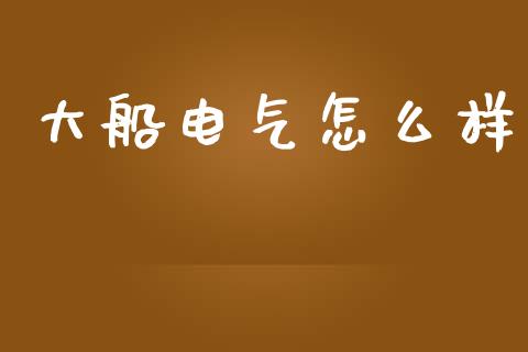 大船电气怎么样_https://cj006.lansai.wang_财经新闻_第1张
