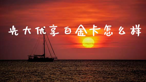 光大优享白金卡怎么样_https://cj006.lansai.wang_外汇交易_第1张