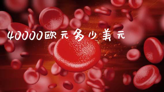 40000欧元多少美元_https://cj006.lansai.wang_全球市场_第1张