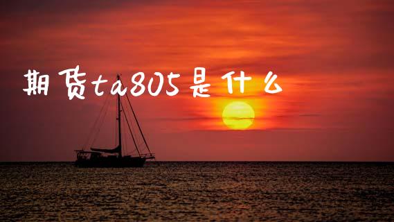 期货ta805是什么_https://cj006.lansai.wang_债券资讯_第1张