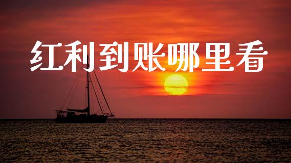 红利到账哪里看_https://cj006.lansai.wang_债券资讯_第1张