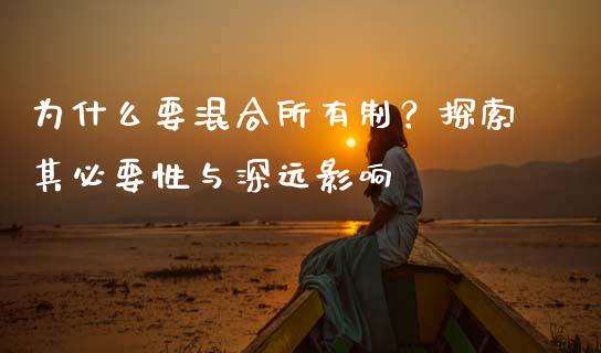 为什么要混合所有制？探索其必要性与深远影响_https://cj006.lansai.wang_债券资讯_第1张