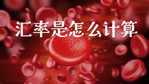汇率是怎么计算_https://cj006.lansai.wang_外汇交易_第1张