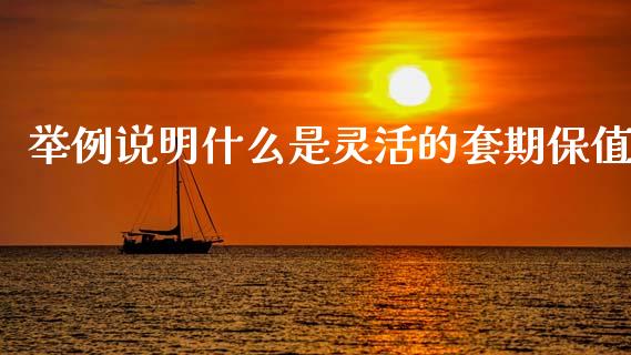 举例说明什么是灵活的套期保值_外汇交易_第1张_期货开户_金融监管_外汇交易_债券资讯_全球市场_财经新闻 举例说明什么是灵活的套期保值_https://cj006.lansai.wang_外汇交易_第1张