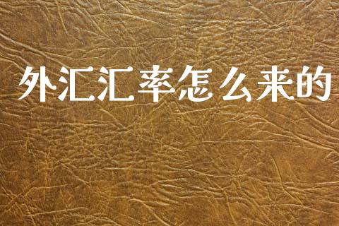 外汇汇率怎么来的_https://cj006.lansai.wang_金融监管_第1张
