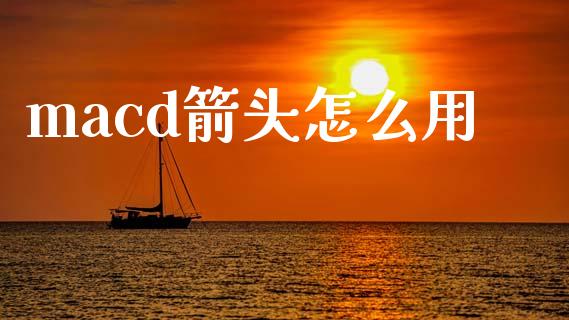 macd箭头怎么用_https://cj006.lansai.wang_金融监管_第1张