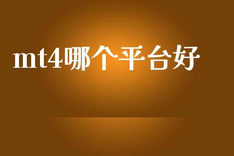 mt4哪个平台好_https://cj006.lansai.wang_金融监管_第1张