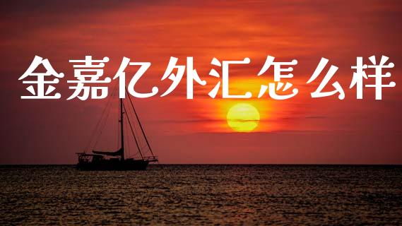 金嘉亿外汇怎么样_https://cj006.lansai.wang_外汇交易_第1张