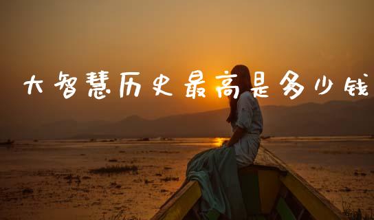 大智慧历史最高是多少钱_https://cj006.lansai.wang_财经新闻_第1张