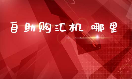 自助购汇机 哪里_https://cj006.lansai.wang_债券资讯_第1张