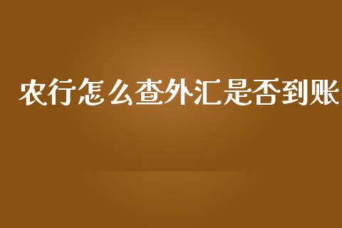 农行怎么查外汇是否到账_https://cj006.lansai.wang_期货开户_第1张