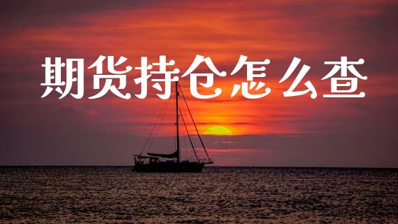 期货持仓怎么查_https://cj006.lansai.wang_金融监管_第1张
