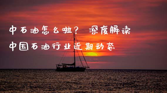 中石油怎么啦？ 深度解读中国石油行业近期动态_https://cj006.lansai.wang_债券资讯_第1张