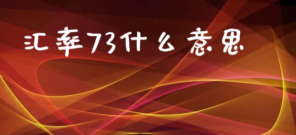 汇率73什么意思_https://cj006.lansai.wang_全球市场_第1张