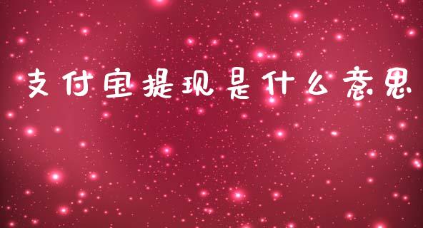 支付宝提现是什么意思_https://cj006.lansai.wang_期货开户_第1张