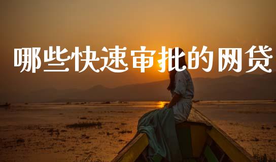 哪些快速审批的网贷_https://cj006.lansai.wang_金融监管_第1张