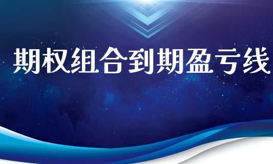 期权组合到期盈亏线_https://cj006.lansai.wang_财经新闻_第1张