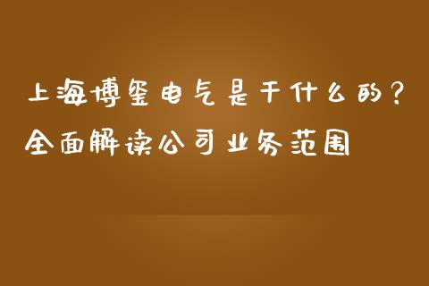 上海博玺电气是干什么的？全面解读公司业务范围_https://cj006.lansai.wang_全球市场_第1张