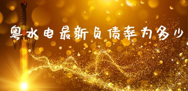 粤水电最新负债率为多少_https://cj006.lansai.wang_债券资讯_第1张