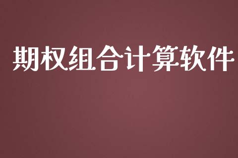 期权组合计算软件_https://cj006.lansai.wang_债券资讯_第1张