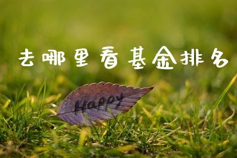 去哪里看基金排名_https://cj006.lansai.wang_债券资讯_第1张