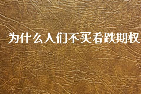 为什么人们不买看跌期权_https://cj006.lansai.wang_全球市场_第1张