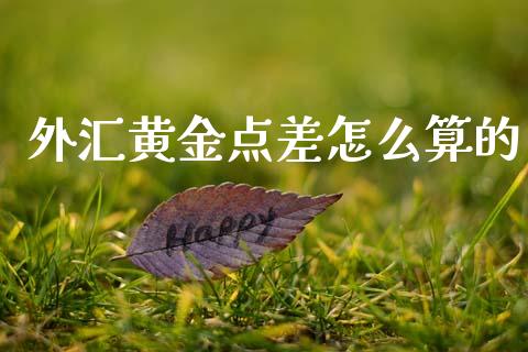 外汇黄金点差怎么算的_https://cj006.lansai.wang_财经新闻_第1张