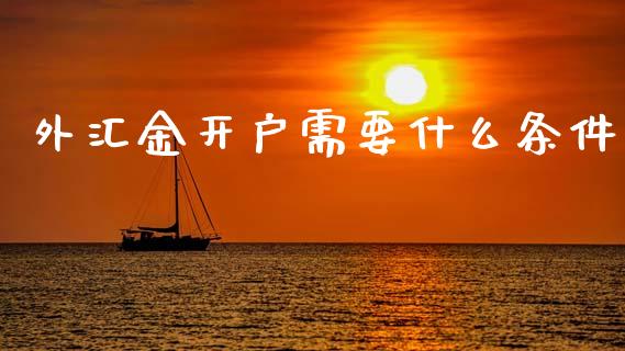 外汇金开户需要什么条件_https://cj006.lansai.wang_金融监管_第1张