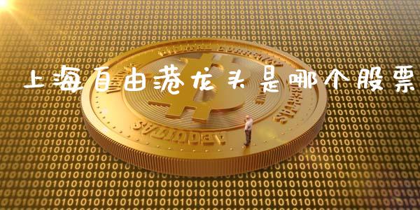 上海自由港龙头是哪个股票_https://cj006.lansai.wang_财经新闻_第1张