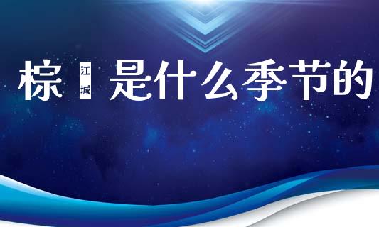 棕榈是什么季节的_https://cj006.lansai.wang_债券资讯_第1张