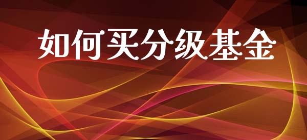 如何买分级基金_https://cj006.lansai.wang_全球市场_第1张