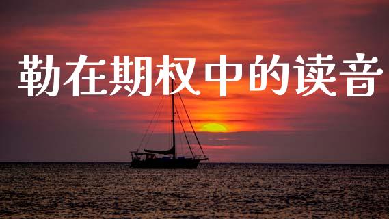 勒在期权中的读音_https://cj006.lansai.wang_金融监管_第1张