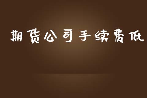 期货公司手续费低_https://cj006.lansai.wang_外汇交易_第1张